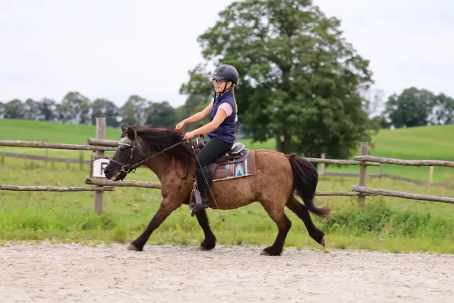 Kind reitet allein ein braunes Pony über den Reitplatz vom Hof Gottenau, im Hintergrund Berge