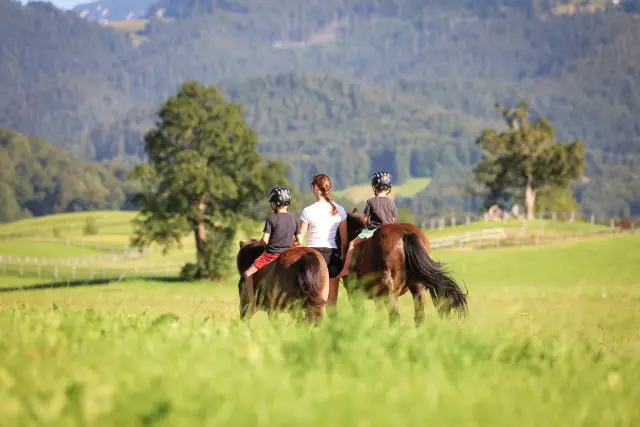 Zwei Kinder sitzen auf Ponys, die von Erwachsenen am Strick über eine Wiese geführt werden